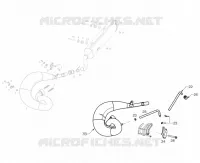 HOMOLOG KIT