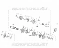 RITZEL