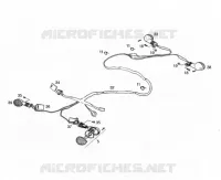 ELEKTRIC HOMOLOG