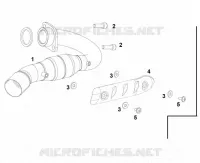 AUSPUFF HOMOLOG