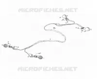 ELEKTRIC
