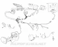 ELEKTRIC